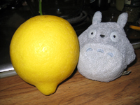 when life gives you lemons, find someone else whose life has given them vodka
