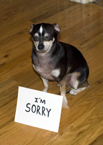 nah, I'm not really sorry... I need to GTFO of Dodge
