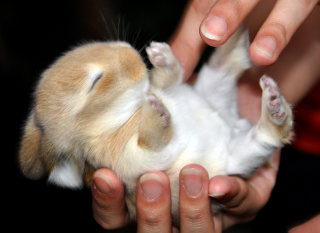 awww