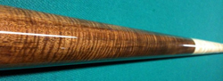 curly acacia