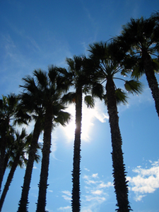 blue skies smiling at me